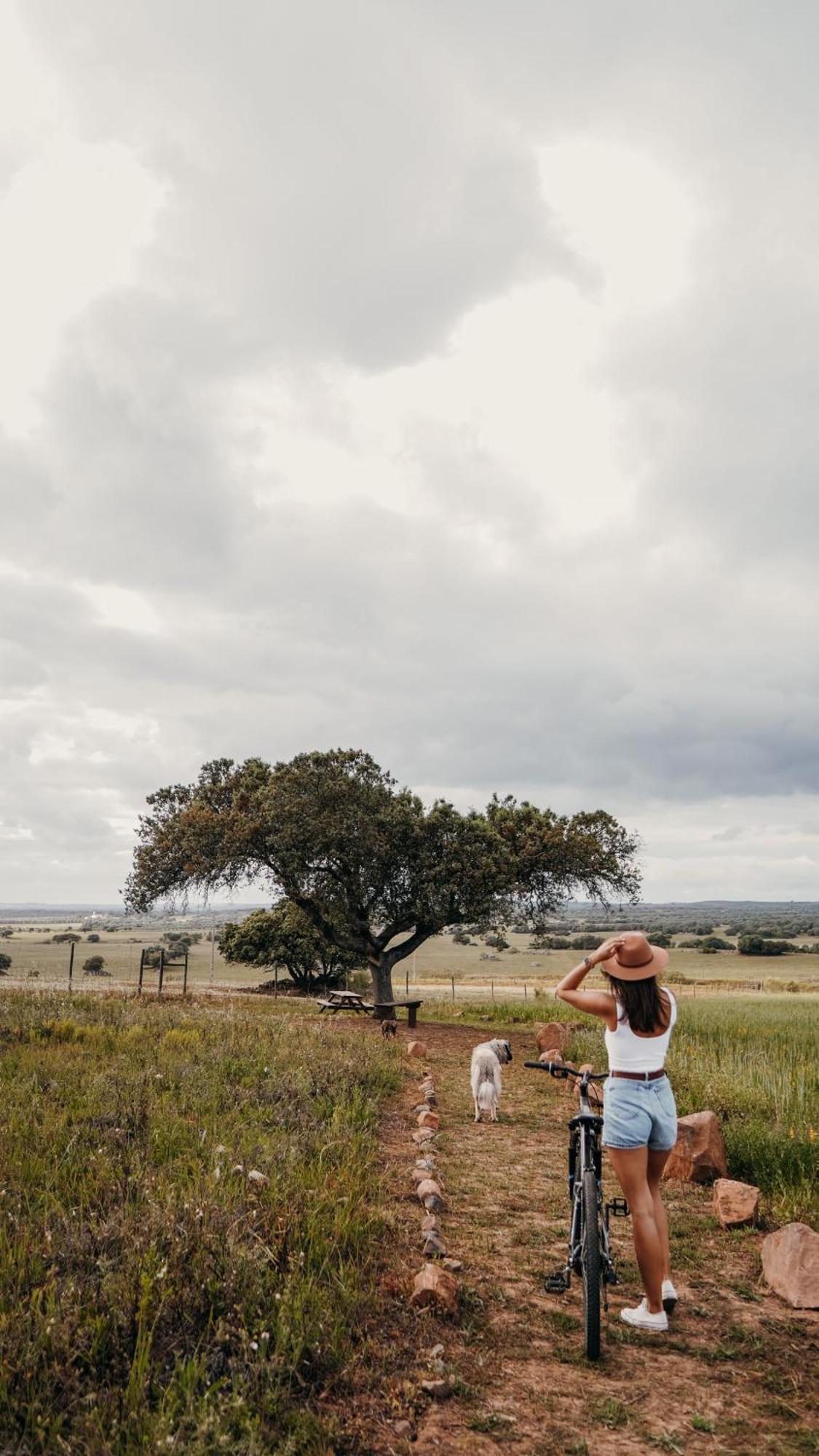 Montimerso Skyscape Countryhouse Monsaraz Buitenkant foto