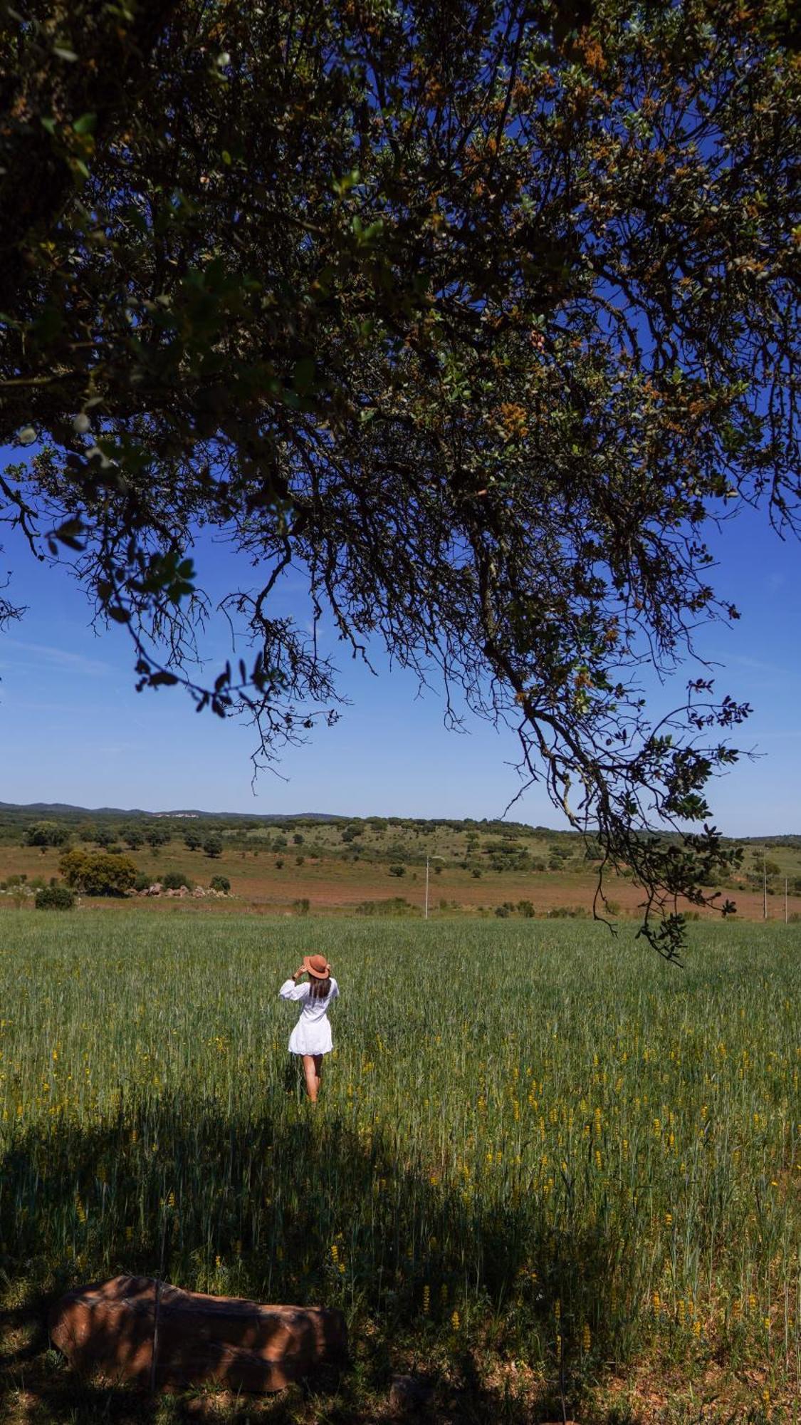 Montimerso Skyscape Countryhouse Monsaraz Buitenkant foto