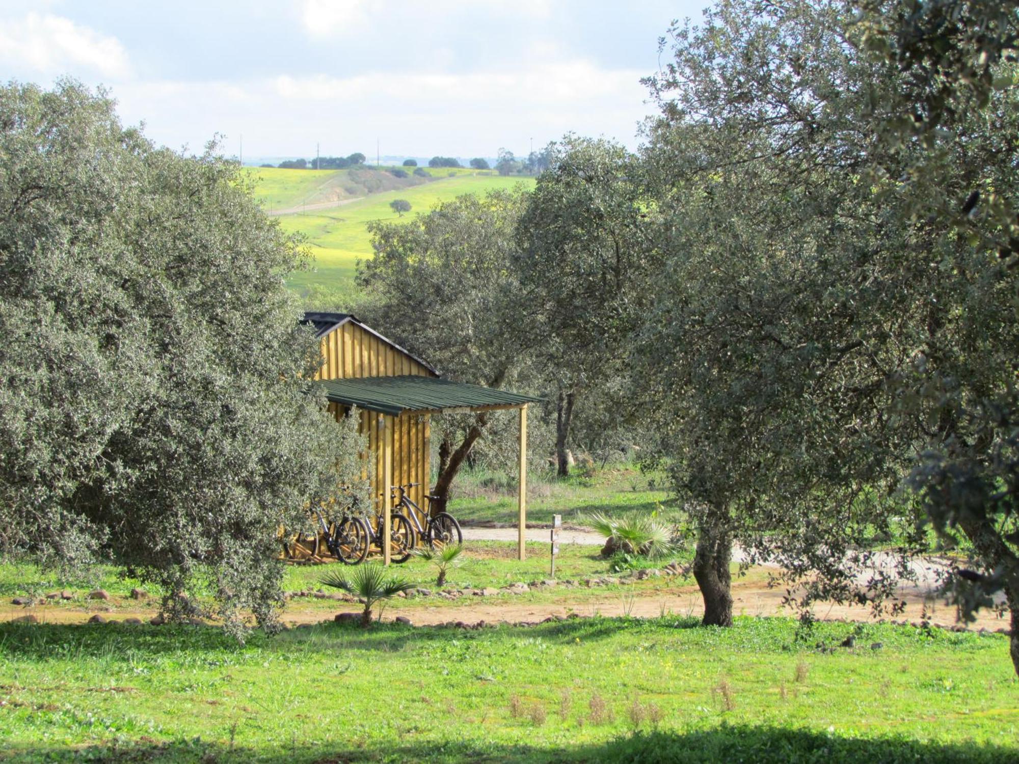Montimerso Skyscape Countryhouse Monsaraz Buitenkant foto