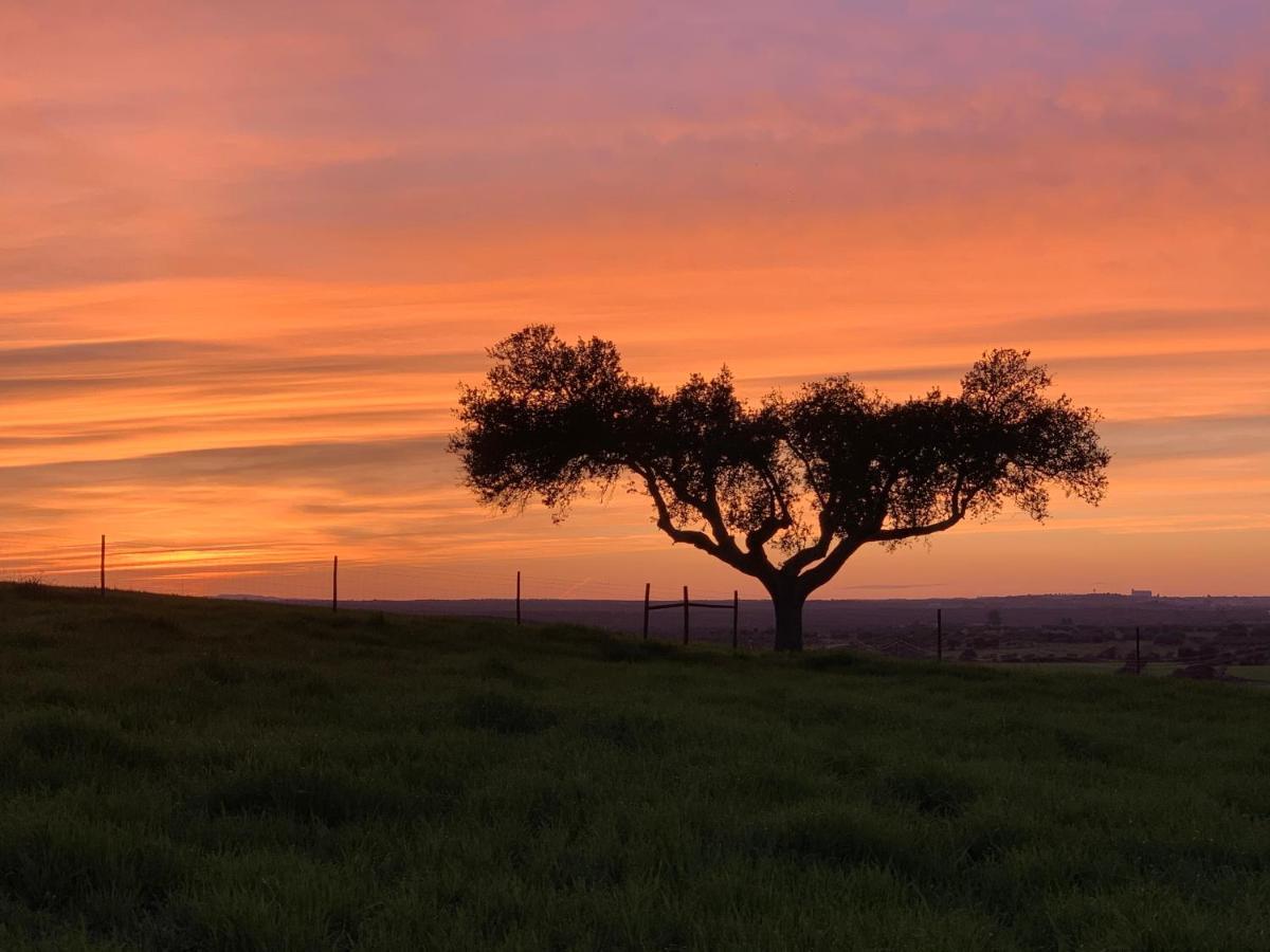 Montimerso Skyscape Countryhouse Monsaraz Buitenkant foto